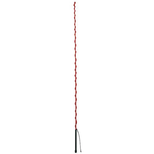 LUNGE WHIP RED