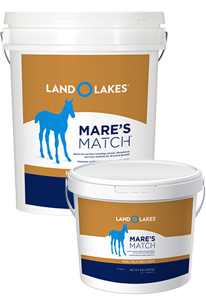 FOAL MILK REPLACER MARE'S MATCH 8#