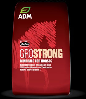 GROSTRONG PRECISE MINERAL 25#