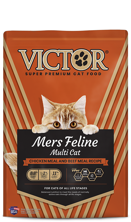 VIC CAT MERS CLASSIC 5#